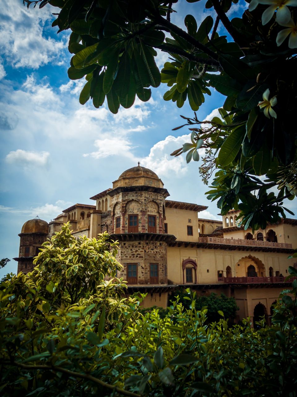 Photo of Tijara, Rajasthan, India by Divyam Goyal