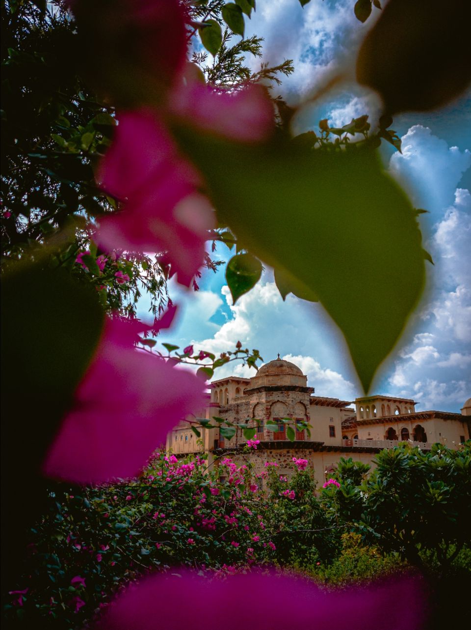 Photo of Tijara, Rajasthan, India by Divyam Goyal