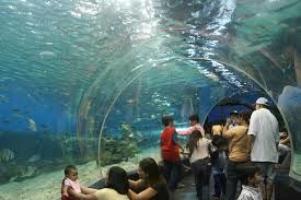 Photo of Resorts World Sentosa Singapore by Pallavi