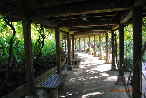 Photo of Singapore Botanic Garden Singapore by Pallavi