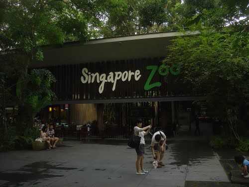 Photo of Singapore Zoo Singapore by Pallavi
