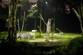Photo of Night Safari Singapore by Pallavi