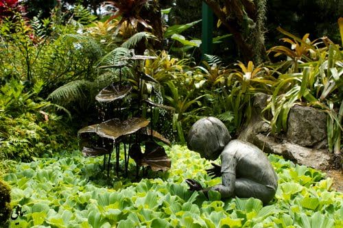 Photo of Singapore Botanic Garden Singapore by Pallavi