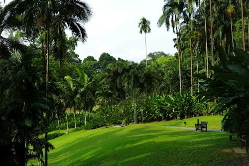 Photo of Singapore Botanic Garden Singapore by Pallavi
