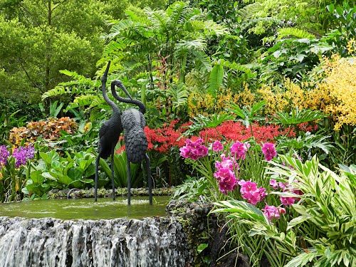 Photo of Singapore Botanic Garden Singapore by Pallavi