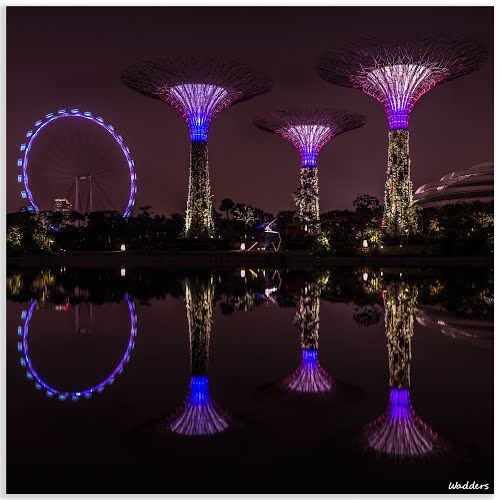 Photo of Gardens by the Bay Singapore by Pallavi