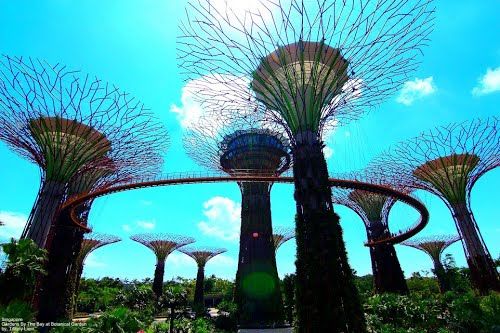 Photo of Gardens by the Bay Singapore by Pallavi