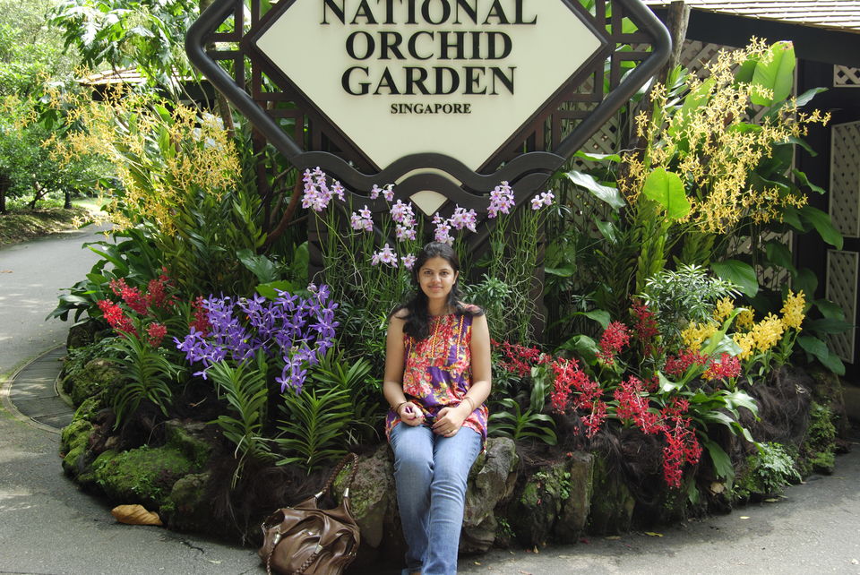 Photo of Singapore Botanic Garden Singapore by Pallavi