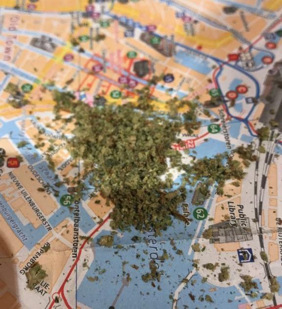 Photo of Amsterdam : Best Friend's guide to the Stoner's Paradise 3/11 by Vishakha Bhaskar