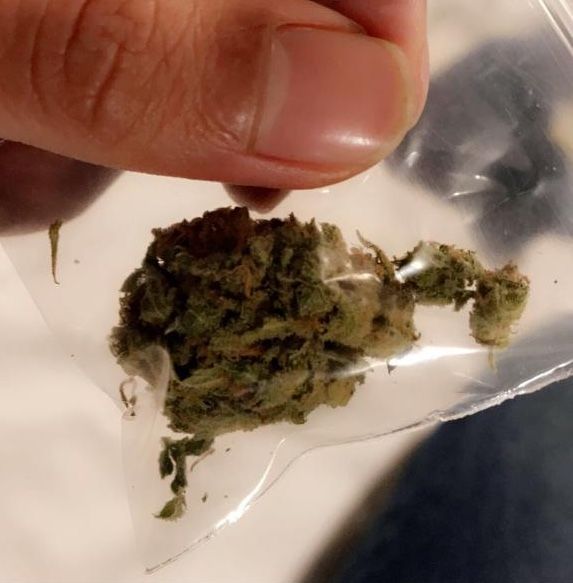 Photo of Amsterdam : Best Friend's guide to the Stoner's Paradise 5/11 by Vishakha Bhaskar