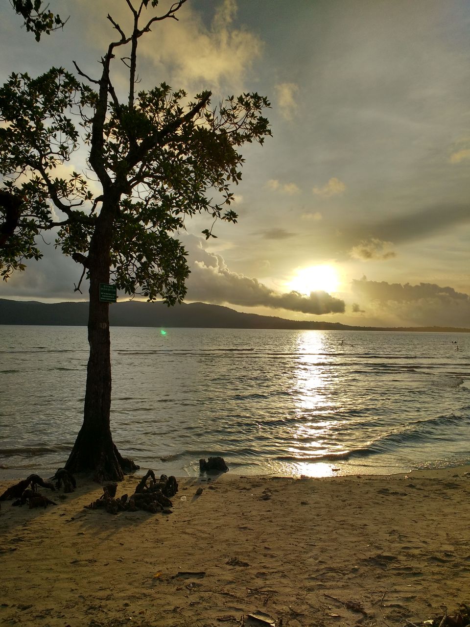 Photo of Havelock and Happiness 10/13 by Divya Nambiar