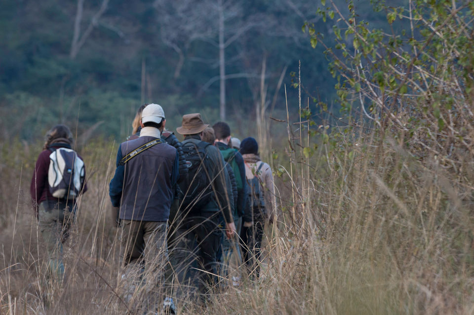Photo of Get Up Close with the Wild at Vanghat Jungle Lodge by Divya Nambiar
