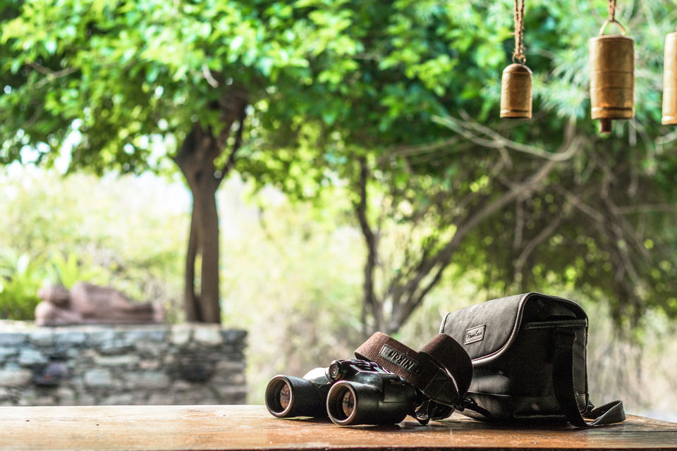 Photo of Get Up Close with the Wild at Vanghat Jungle Lodge by Divya Nambiar
