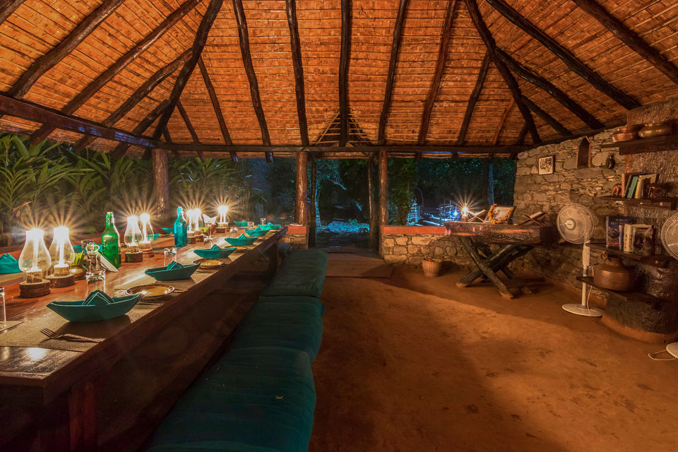 Photo of Get Up Close with the Wild at Vanghat Jungle Lodge by Divya Nambiar