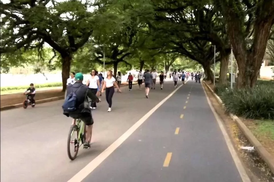 Photo of Parque Ibirapuera - Ibirapuera, São Paulo - State of São Paulo, Brazil by Anuja Bhattacharjee