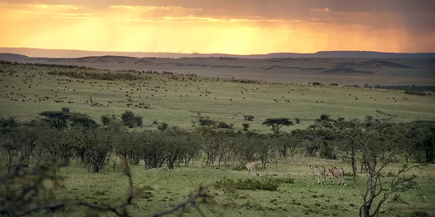 Photo of Encounter Mara by anu marwah