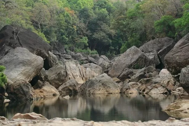 Photo of Satpura National Park, Hoshangabad, Madhya Pradesh, India by anu marwah