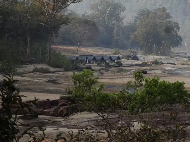 Photo of Satpura National Park, Hoshangabad, Madhya Pradesh, India by anu marwah