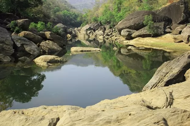 Photo of Satpura National Park, Hoshangabad, Madhya Pradesh, India by anu marwah