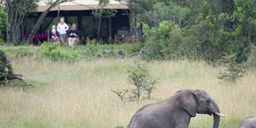 Photo of Masai Mara – Africa Luxury Special 4/21 by anu marwah