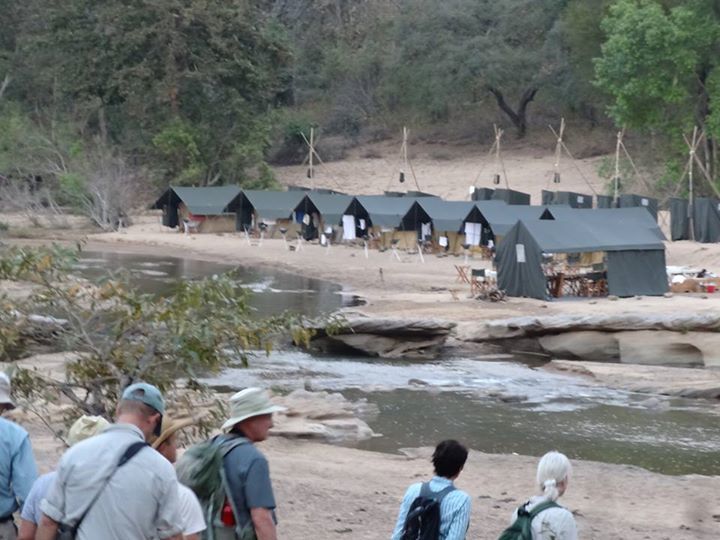 Photo of Walk in the Park - Satpura 6/13 by anu marwah