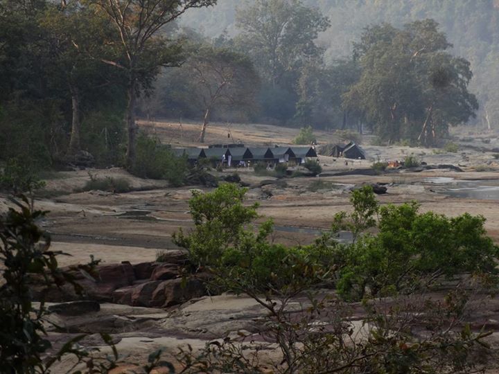 Photo of Walk in the Park - Satpura 2/13 by anu marwah