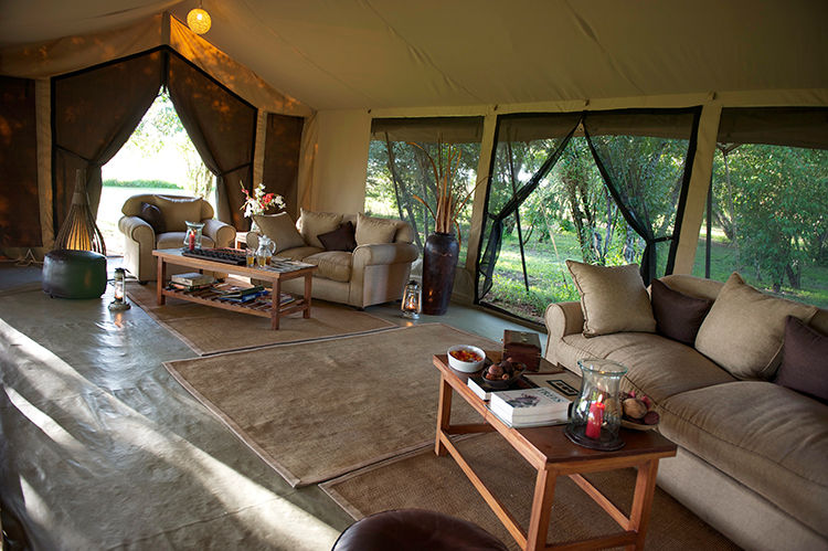 Photo of Masai Mara – Africa Luxury Special 7/21 by anu marwah
