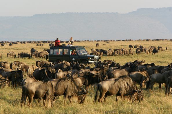 Photo of Masai Mara – Africa Luxury Special 19/21 by anu marwah
