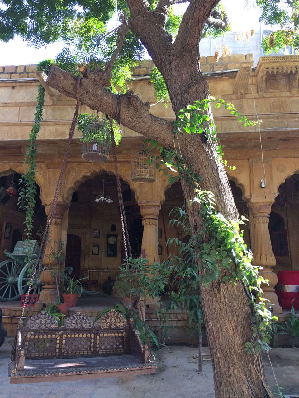 Photo of 5 Cafe’s/restaurants to visit in Rajasthan by Prachiti Edgaonkar