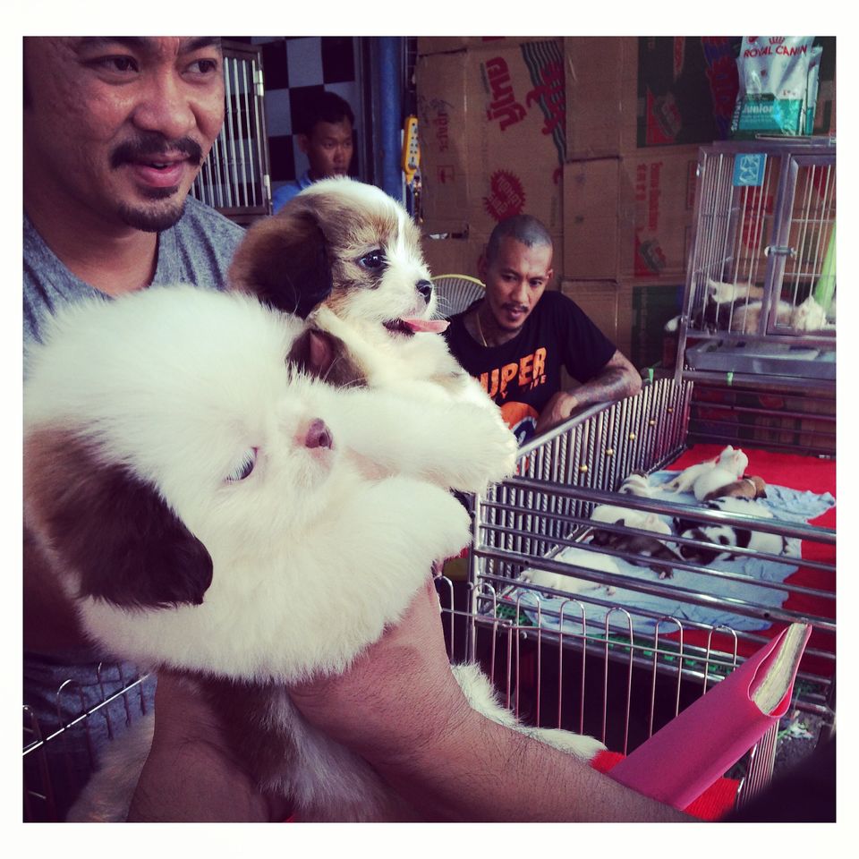 Photo of Chatuchak Weekend Market Chatuchak Thailand by Angela Ao