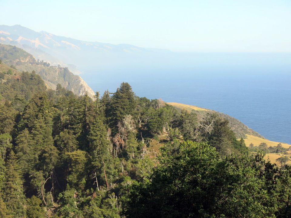 Photo of Shelter Cove, CA, United States by Tam Warner Minton