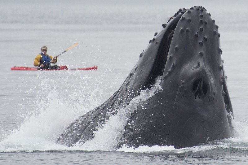 Photo of Monterey Bay, California, United States by Tam Warner Minton
