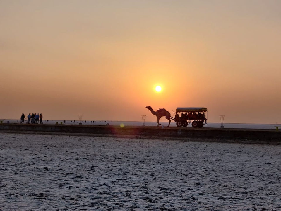 Photo of Rann Of Kutch- Couple On A Road Trip by Shalaaka Abijith