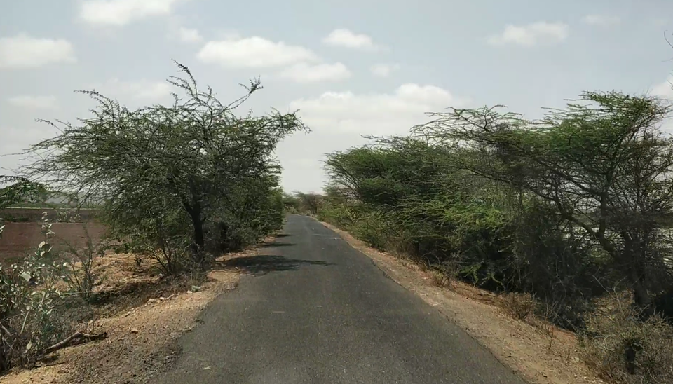 Photo of Trip to Kutch (Sandhan) by Darshita H Bhadra