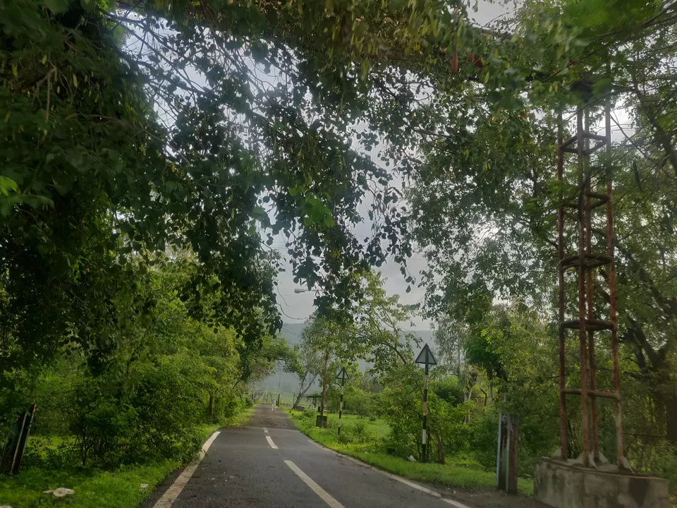Photo of Way To Nature, Through The Mountains!! by Darshita H Bhadra