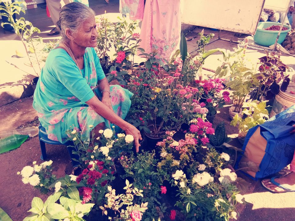 Photo of Mapusa Market, Mapusa Municipal Market, Panaji, Goa, India by A Teachers Downtime!