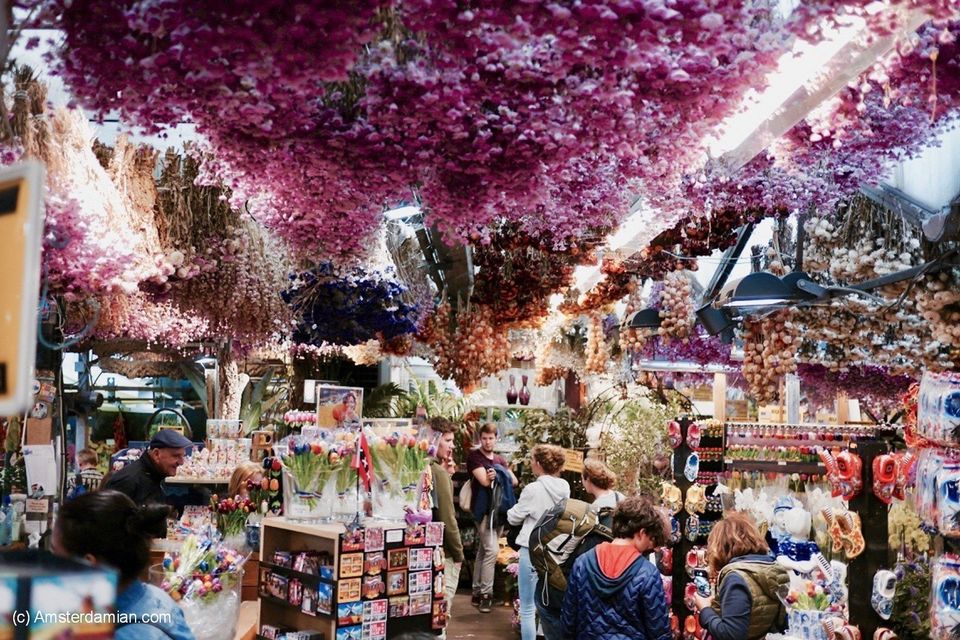 Photo of Brussels and Amsterdam: Best Cheap & Free Things to Do and Eat 7/9 by Ariana