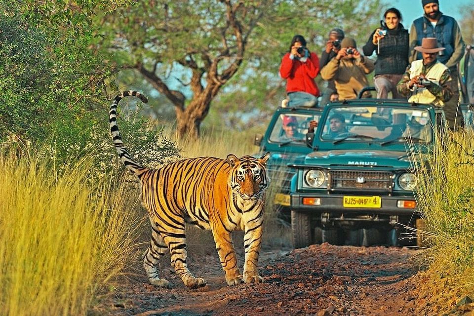 Photo of Top Things to Do in Diverse India 1/12 by Suren Rathore