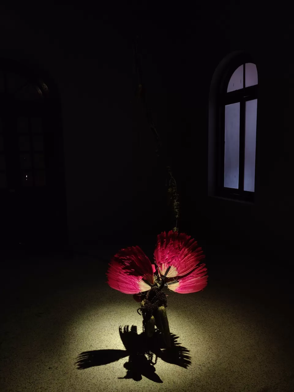 Photo of Kochi By onetallgirl.onejourney