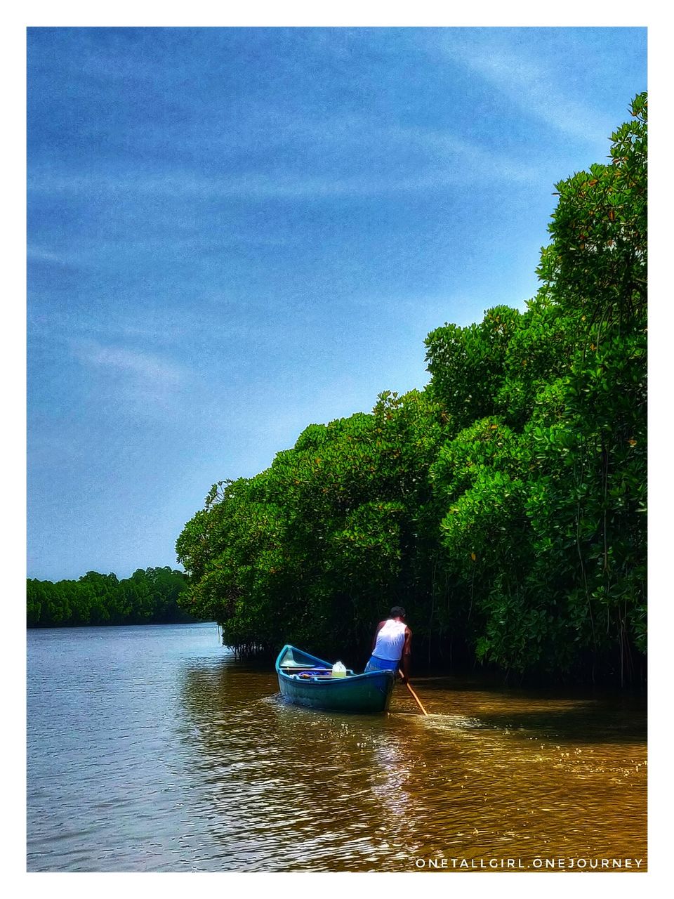 Mangrove forest Just 80kms away from Pondicherry is Pichavaram - Tripoto