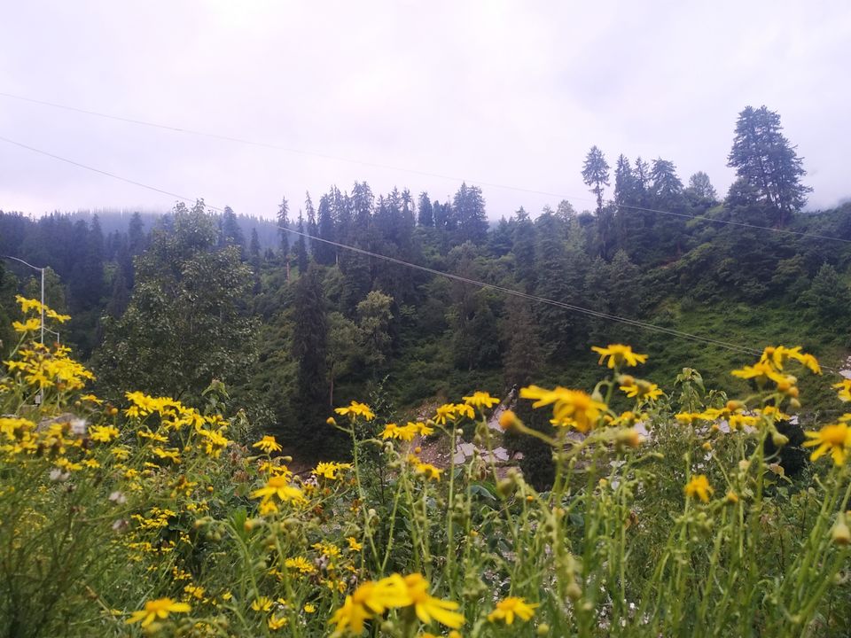 Photo of Trip To Pulga Village Just In 3500₹ by Parampreet Singh(solo singh)