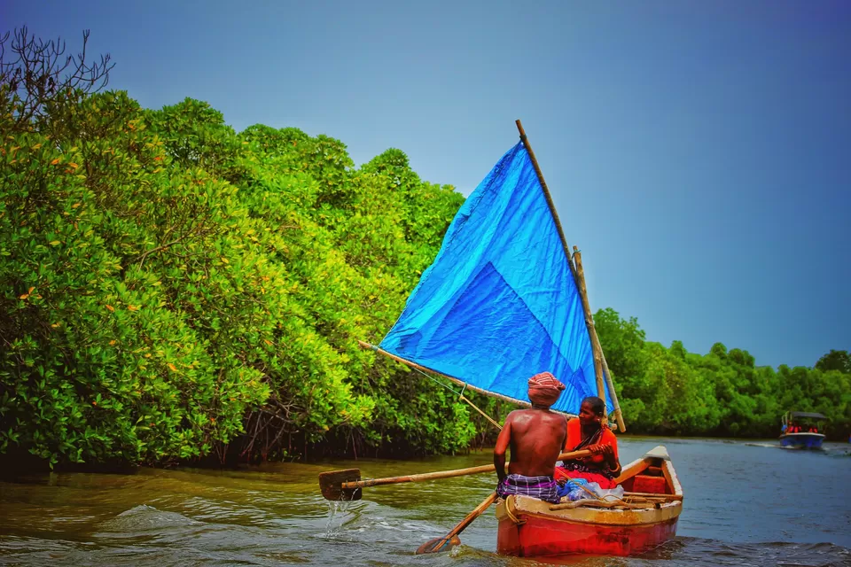 Photo of Pichavaram Mangrove Forest, Pichavaram, Tamil Nadu, India by Nitish Nichenam