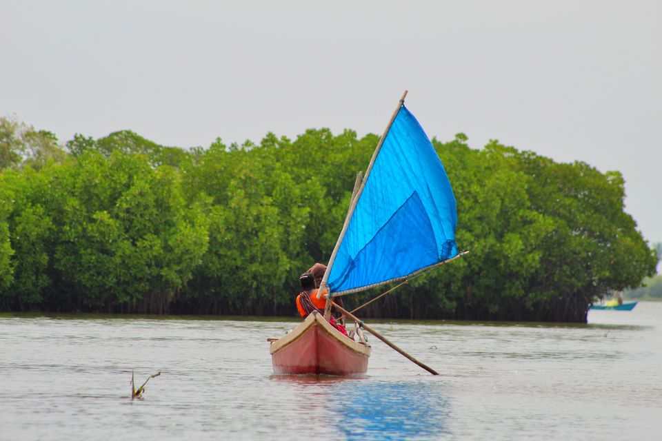 Photo of Pichavaram Mangrove Forest, Pichavaram, Tamil Nadu, India by Nitish Nichenam