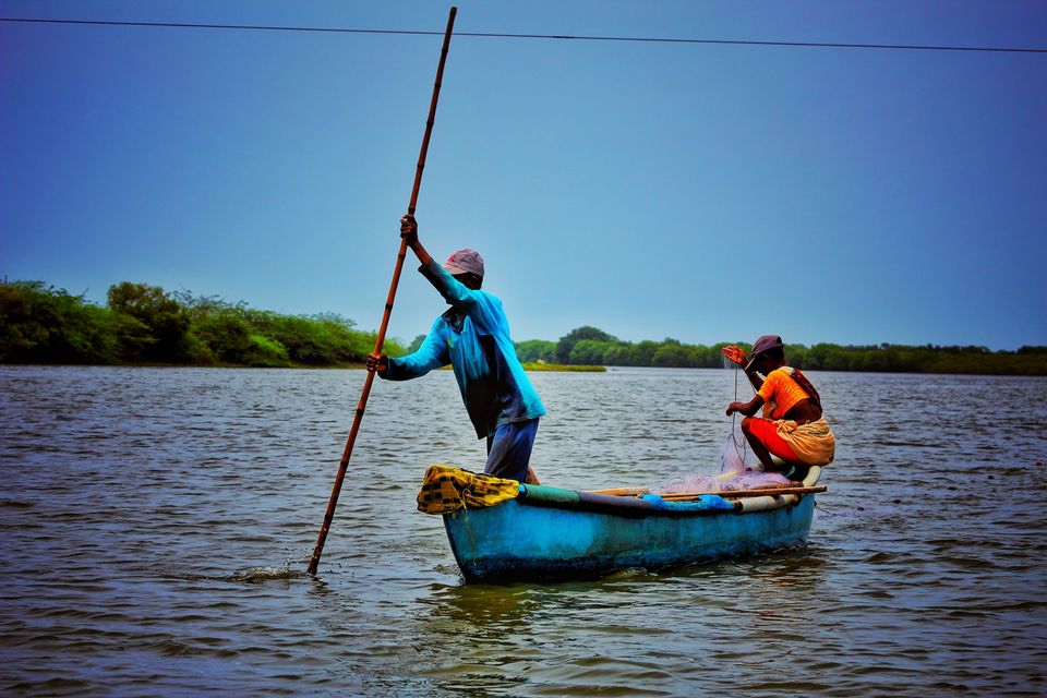 Photo of Pichavaram Mangrove Forest, Pichavaram, Tamil Nadu, India by Nitish Nichenam