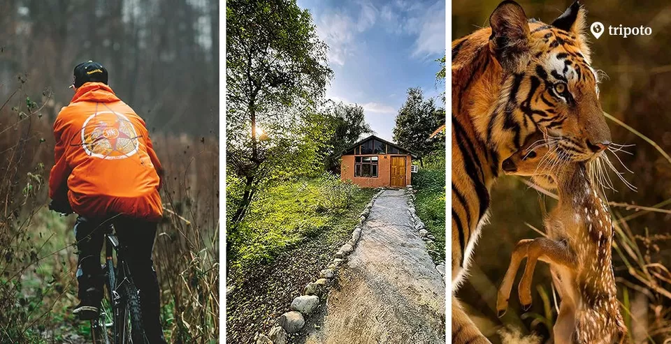 Photo of I Took A Weekend Getaway & Spotted Tigers : Here's How You Can Do It Too! by Prageet Goel