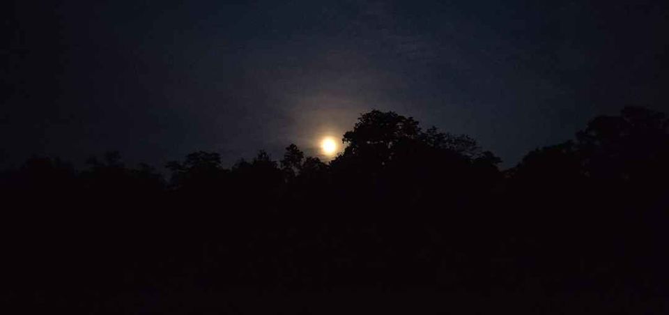 Photo of Ramnagar, Uttarakhand, India by Prageet Goel