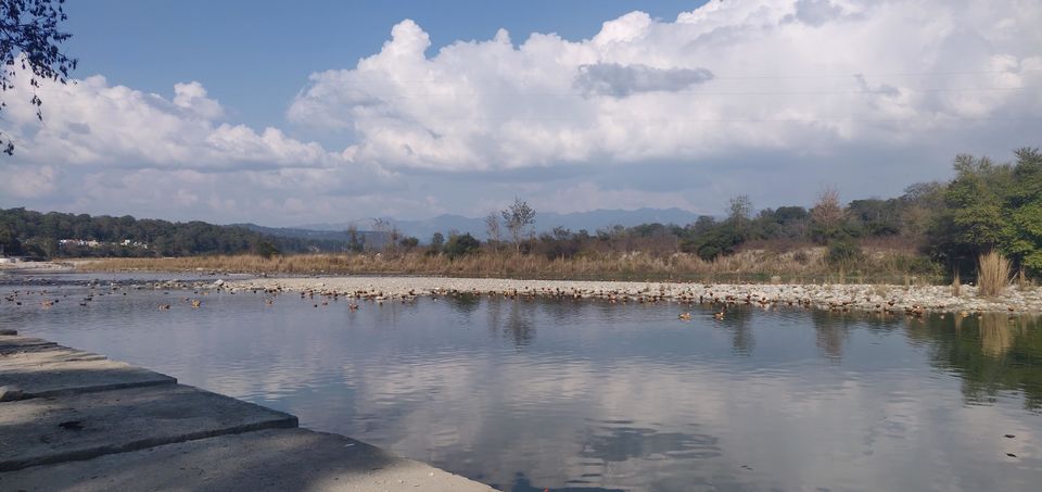 Photo of Ramnagar, Uttarakhand, India by Prageet Goel