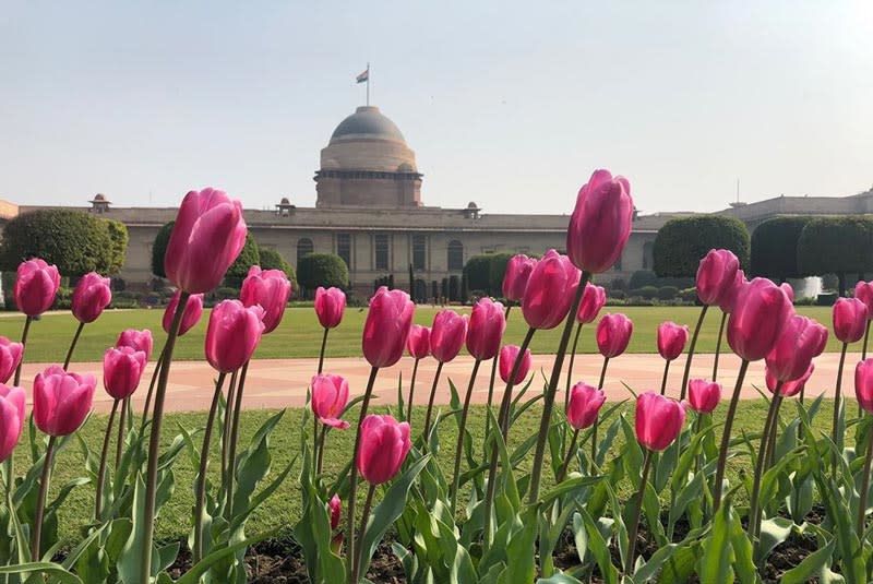 Photo of 6 Museums & Monuments Offering Virtual Tours That'll Transport You To A Whole New World 5/6 by Prageet Goel