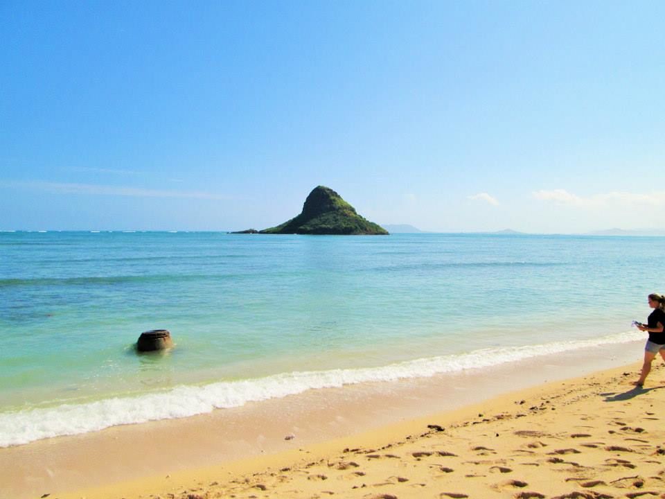 Photo of 15 Things To Know About Honolulu, Hawaii 6/18 by Ankita Rathour