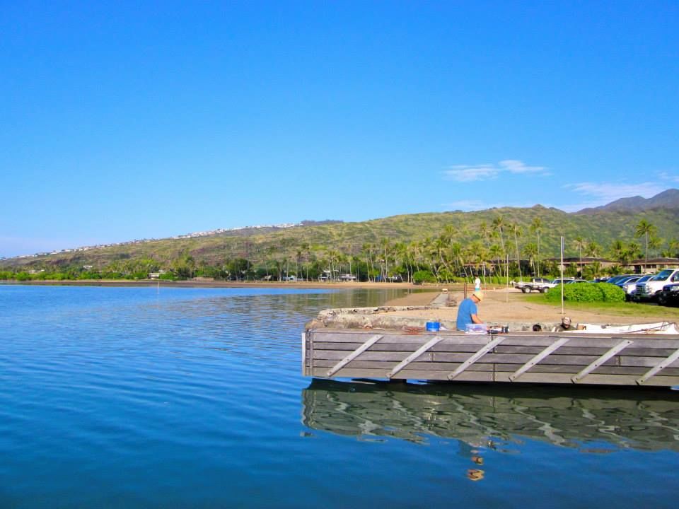Photo of 15 Things To Know About Honolulu, Hawaii 7/18 by Ankita Rathour